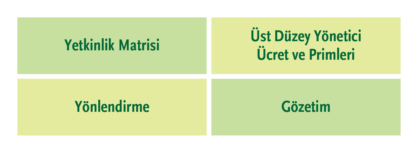 Sürdürülebilirlik Yönetişim Karnesi Modeli - Sorumlu Yönetim Kurulları
